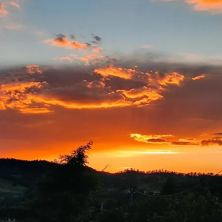 Buon Vento, L'albero Sbandieratore Cozy In Italy *