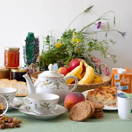 Buon Vento, L'albero Sbandieratore Cozy In Italy Casa vacanze Gubbio