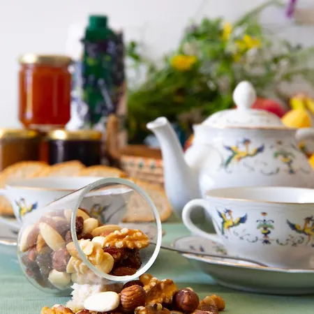 Buon Vento, L'albero Sbandieratore Cozy In Italy Casa vacanze Gubbio