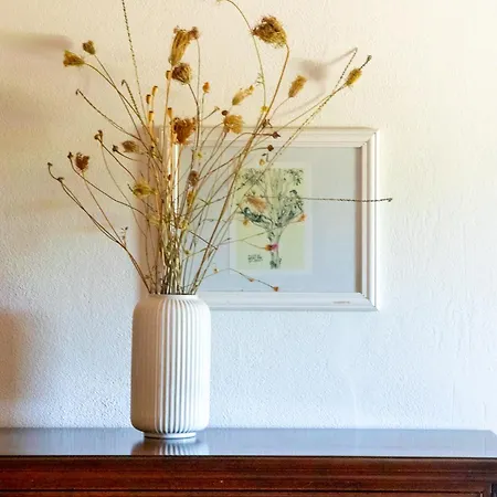 Buon Vento, L'albero Sbandieratore Cozy In Italy Holiday home Gubbio